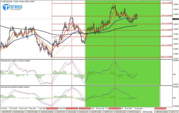 MACD trên Chart D1 của USD/CAD