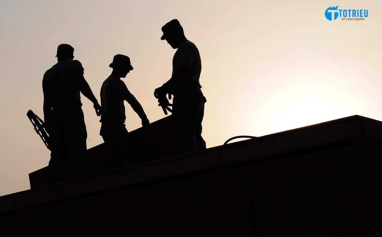 Lực lượng Lao Động