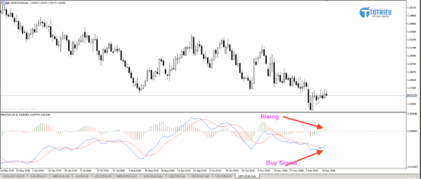 GBP/USD 2019: Chart Daily - MACD