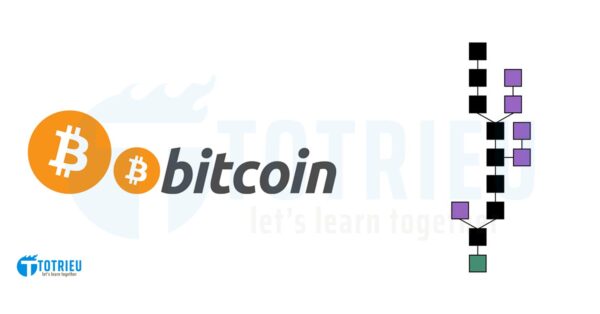 Bitcoin và Blockchain khác nhau thế nào?