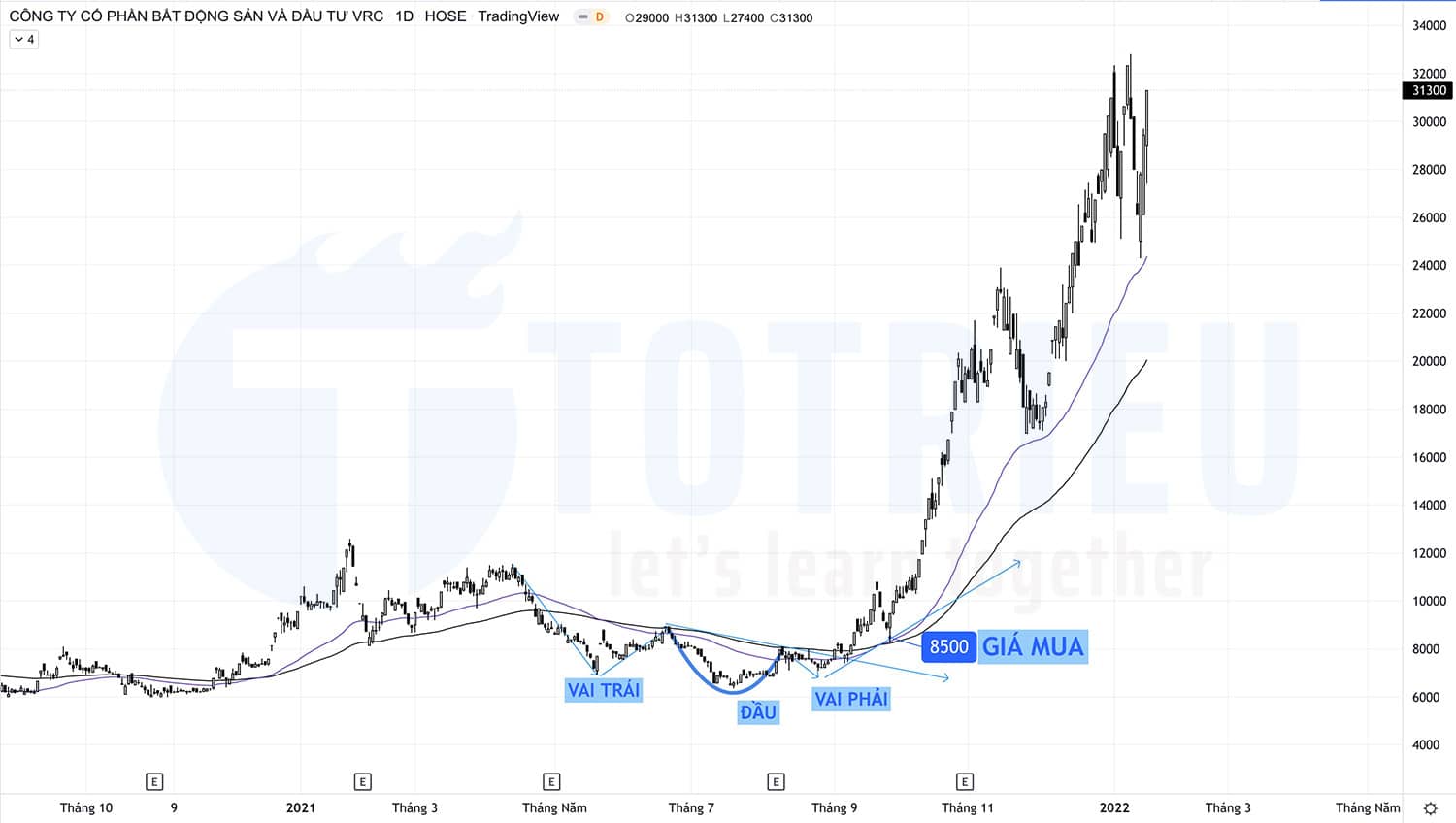 Cổ phiếu VRC năm 2022