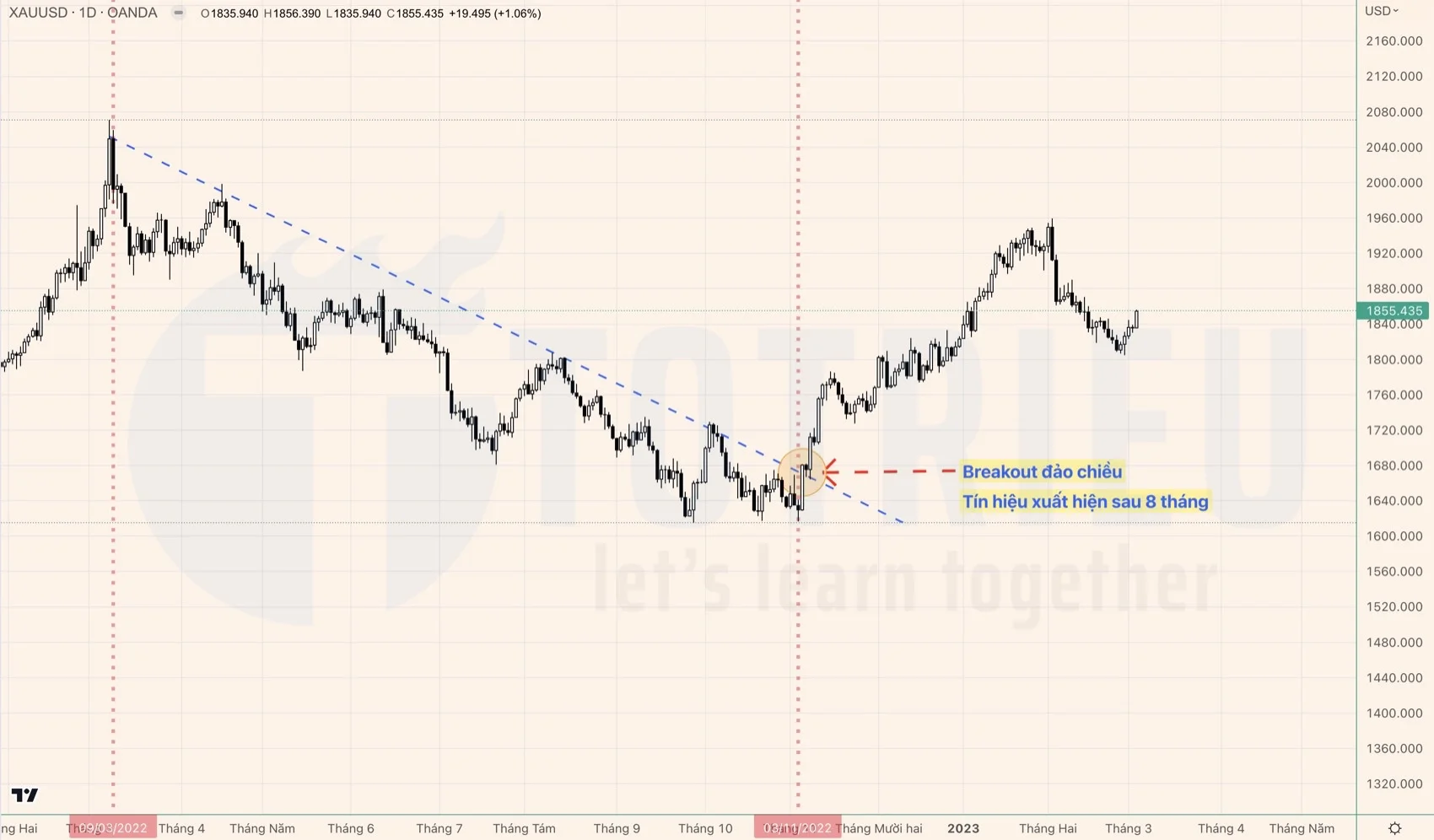 Breakouts đảo chiều xu hướng xuất hiện sau 8 tháng