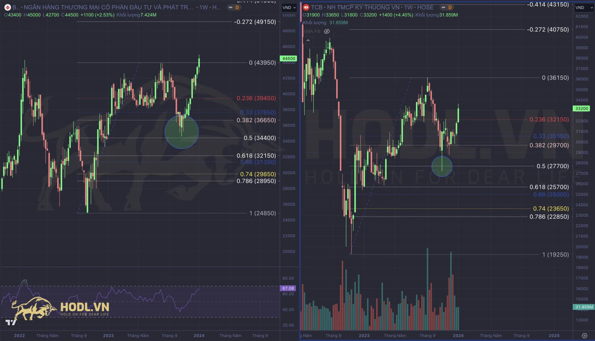 Tín hiệu phân tích kỹ thuật chứng khoán tốt nhất 2024: Fibonacci thoái lui 50%
