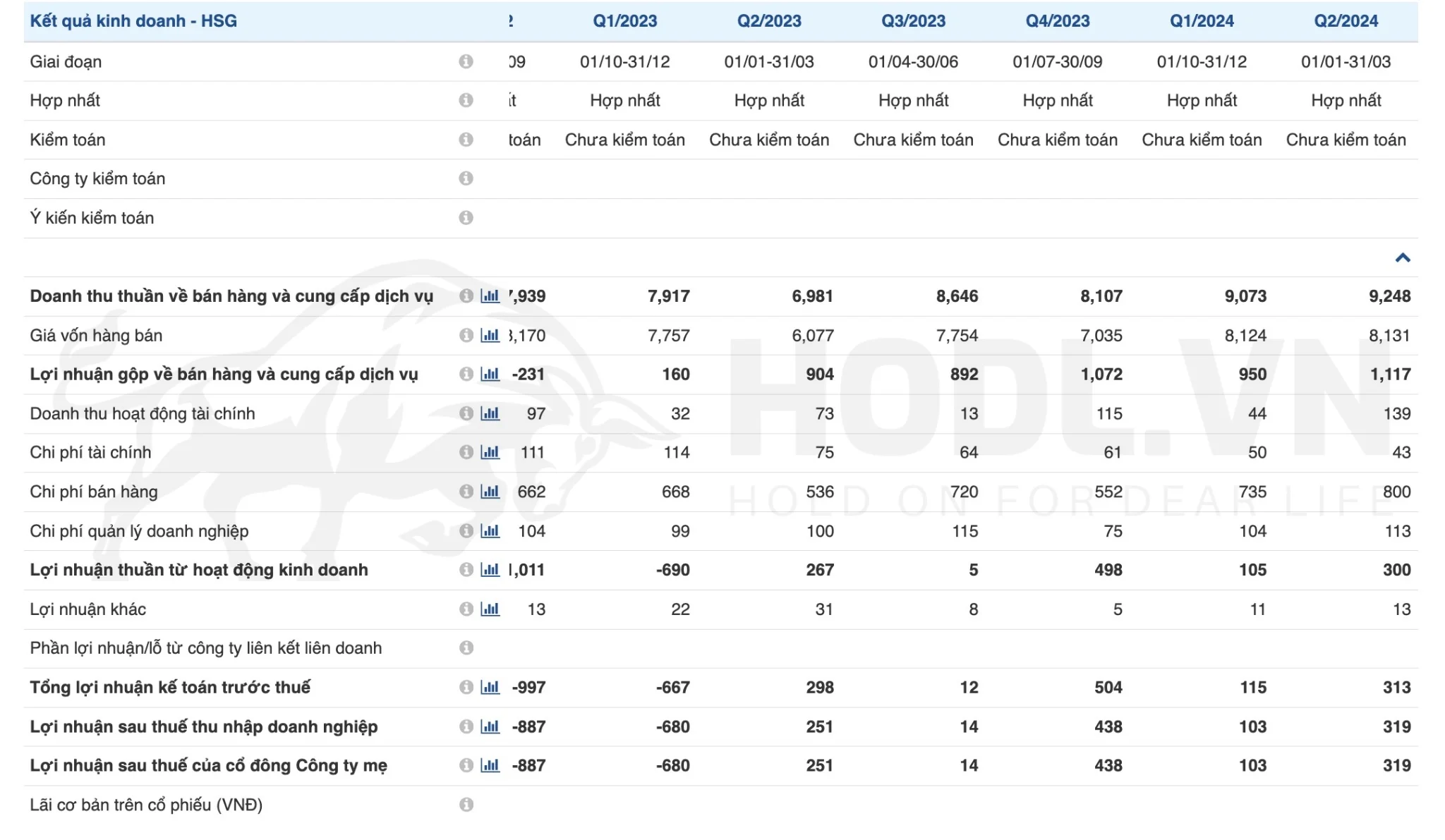 Kết quả kinh doanh HSG