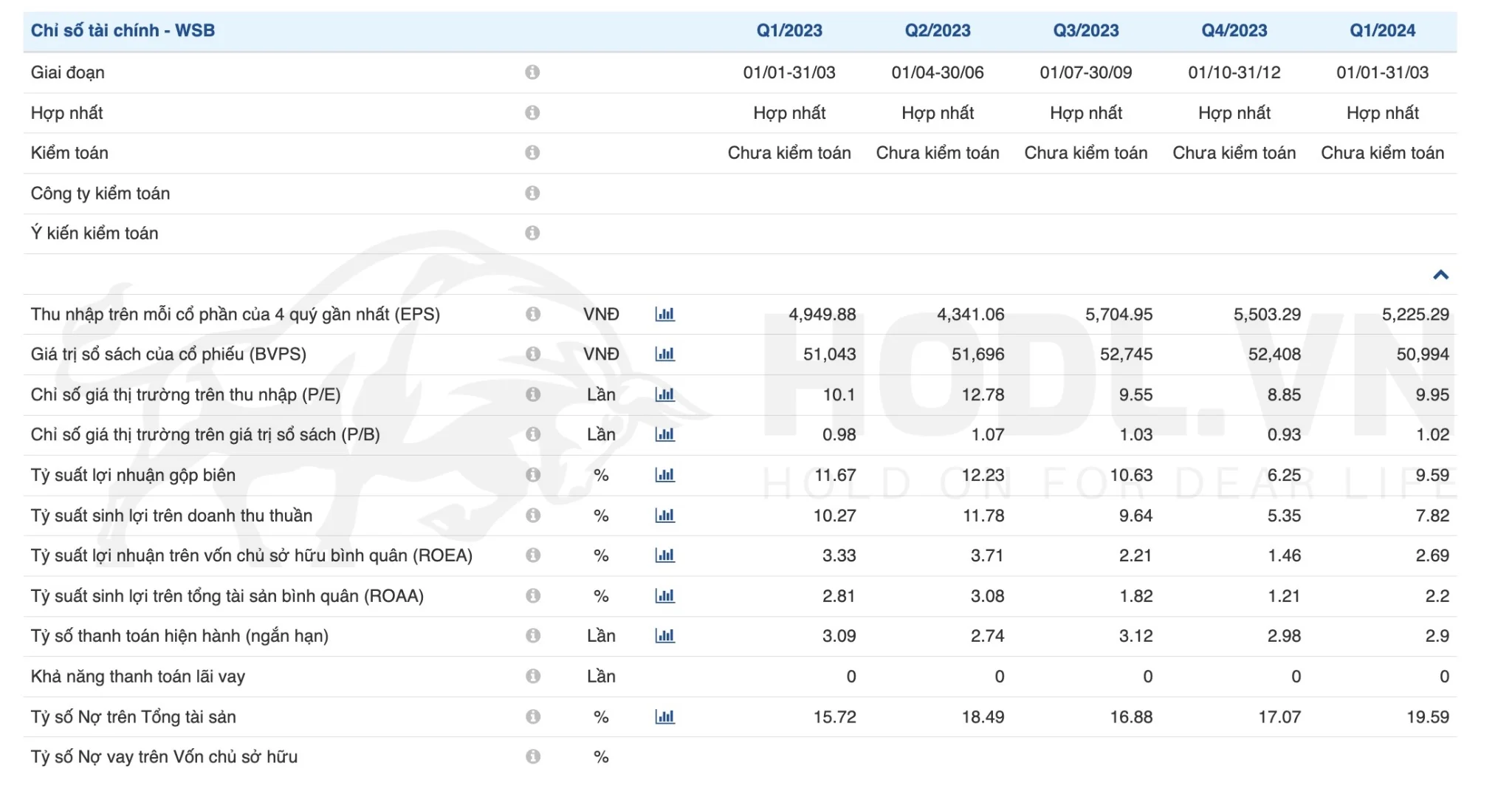 Chỉ số tài chính Cổ phiếu WSB Q1/2024