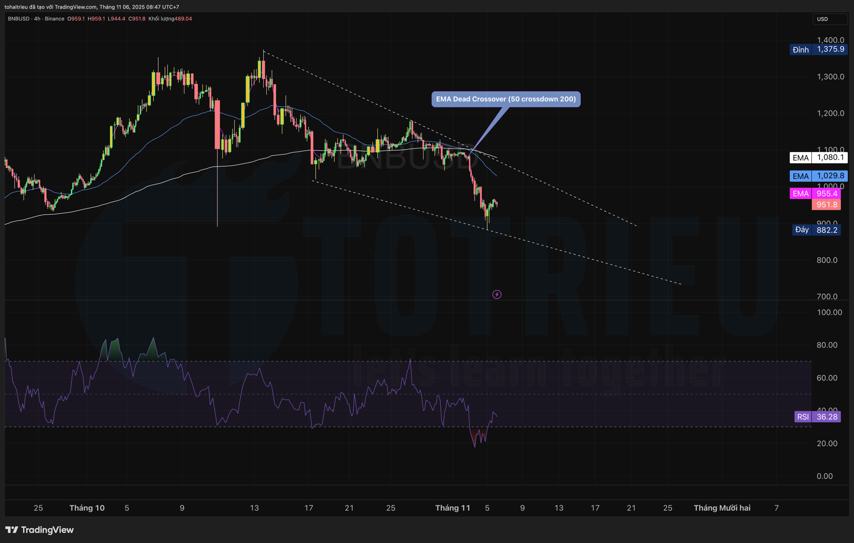 Phân tích RSI - Binance Coin tháng 11/2925