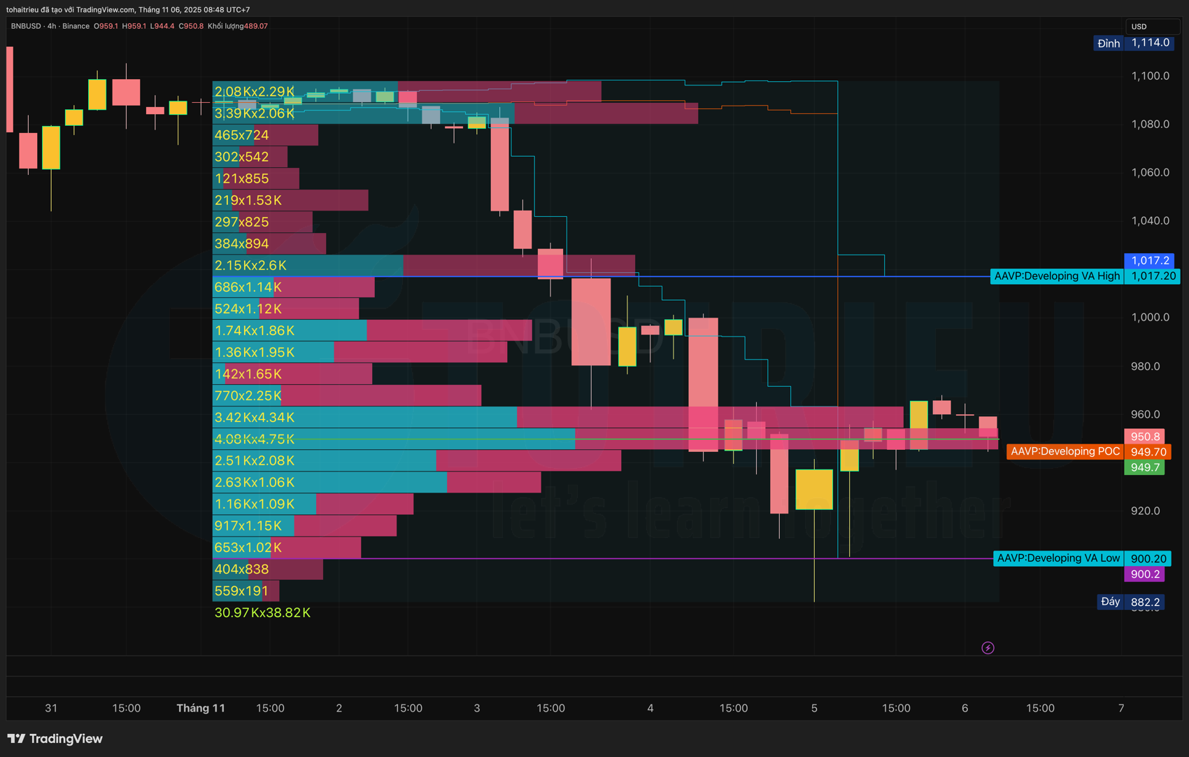 Phân tích Volume Profile - Binance Coin tháng 11/2925